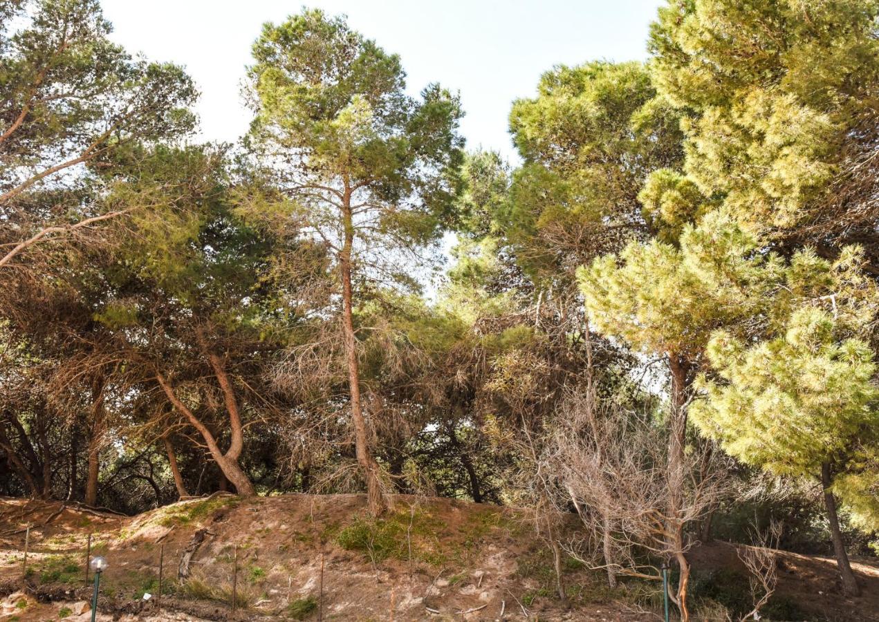 גאליפולי Appartamento Sulla Spiaggia מראה חיצוני תמונה